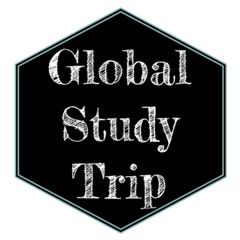 Study trip. Global studies.