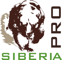 Сибирь надпись. Siberia фирма. Siberia надпись. Сиберия логотип.