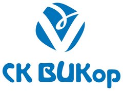 Ооо викор